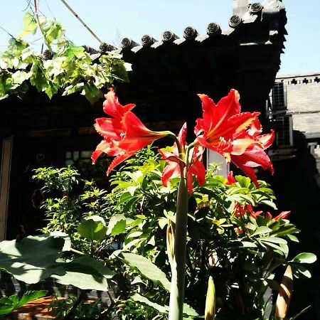 Pingyao Tian Yi Hostel エクステリア 写真